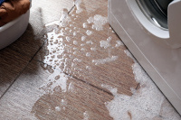 Header_image_2